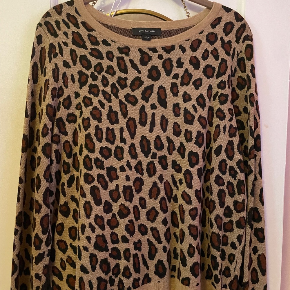 Ann Taylor sweater, size L